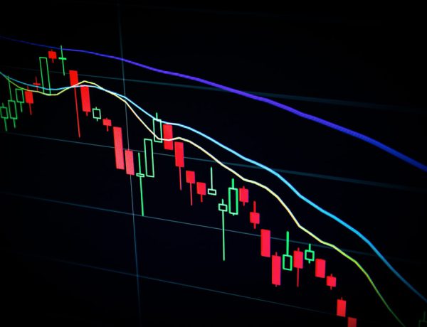 Decoding Mutual Fund Returns: Beyond Just the Numbers