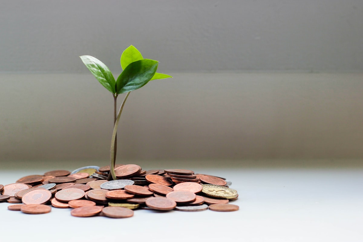 Understanding Investing